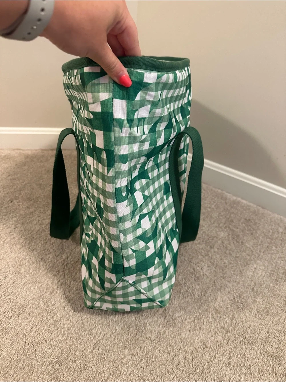 NWT Kate Spade ♠️ Green Gingham cooler tote bag